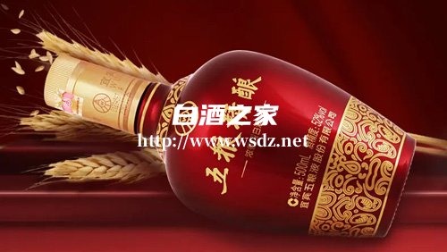 五粮液52度白酒最新价格表