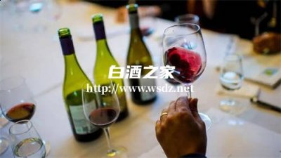 白酒和红酒能一起喝吗