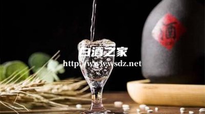 为什么白酒喝了会咳嗽厉害