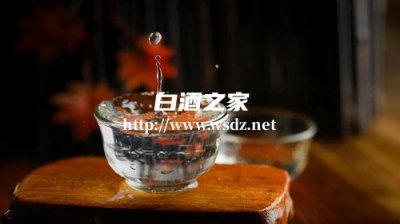 用什么白酒可以养生