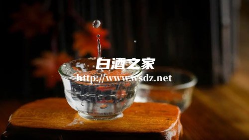 白酒和陈醋哪个杀菌效果好