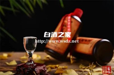 茅台镇有浓香型白酒吗