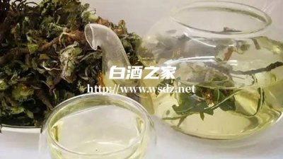 怎样用白酒泡蒲公英喝