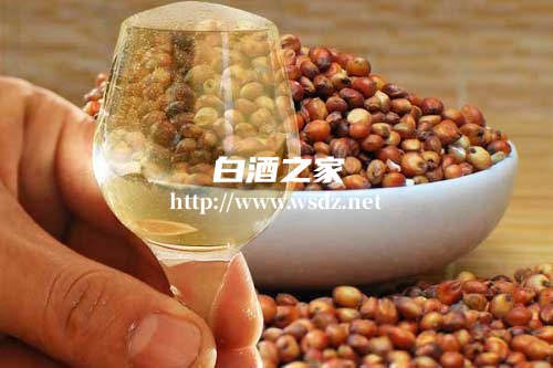 为什么白酒大多用高粱