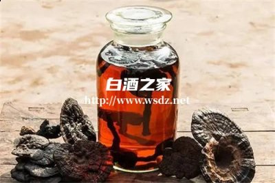 灵芝白酒泡什么好喝养生