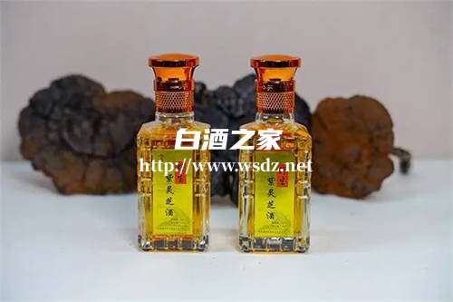 灵芝白酒泡什么好喝养生