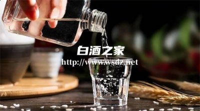 每天喝一两白酒养生吗