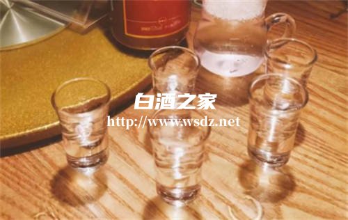吃完芒果还能喝白酒吗