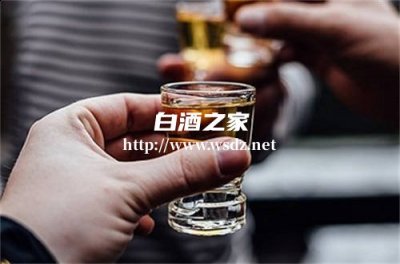 隔夜白酒的用途与危害  喝完酒隔夜还算酒驾吗