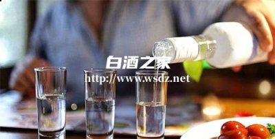 白酒怎么喝才算养生酒