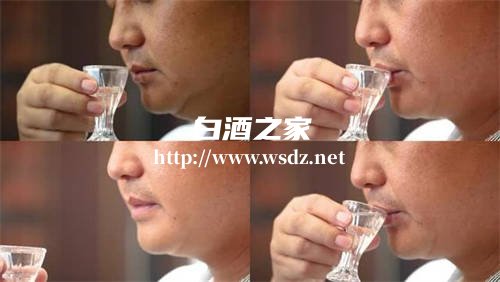 怎么喝白酒才不被呛到嗓子