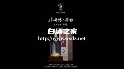 2010年的水井坊酒是什么样的