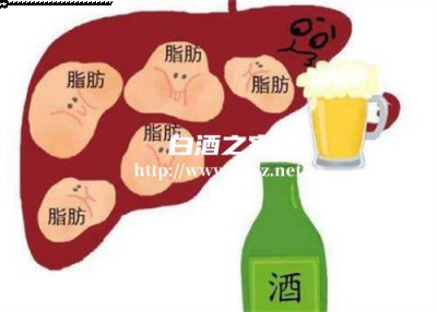 男性长期喝白酒的危害有哪些