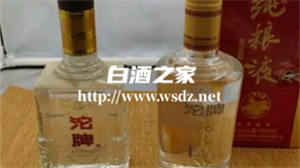 沱牌浓香型白酒42度的价格是多少