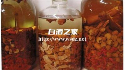 用什么泡白酒养生效果好