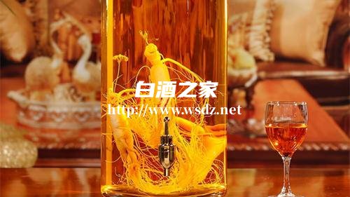 用什么泡白酒养生效果好