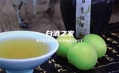 果酒用什么白酒泡好喝呢