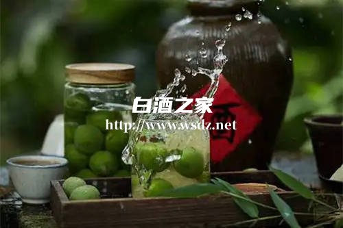 做青梅酒用什么白酒