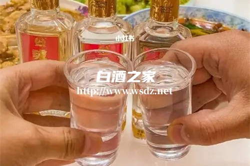 36岁每天喝点白酒的坏处有哪些