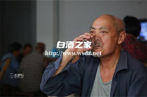 老年人爱喝白酒养生好吗