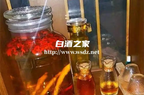 白酒泡什么养生