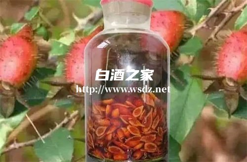 瓶装白酒能泡金樱子吗