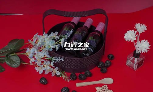 桑葚酒的功效  3