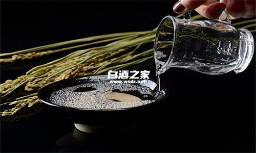 荞麦酒和高粱酒的区别  3