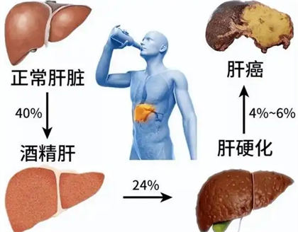 喝了白酒后可以吃新鲜虫草吗  2