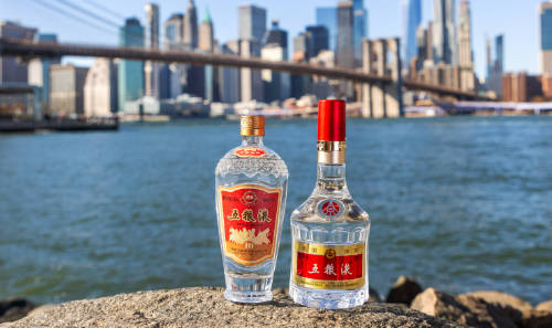 送酒是不是得送高度酒  3