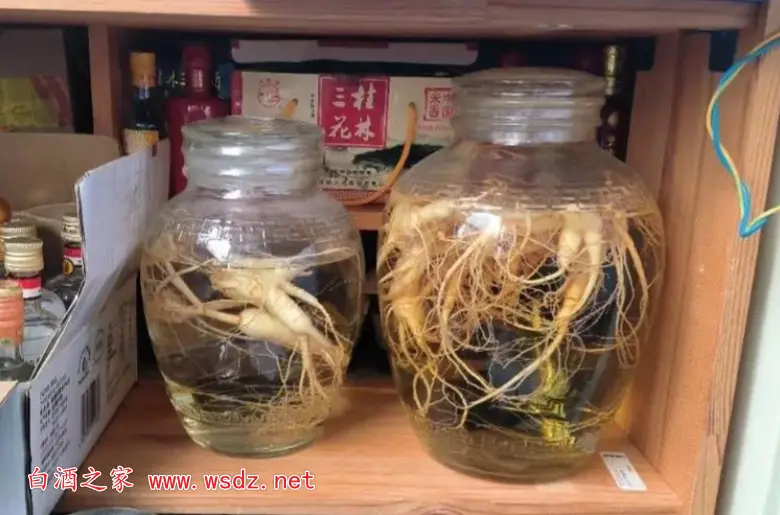 白酒做成养生酒的5大好处，为何要做养生酒