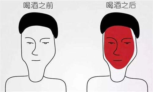 为什么有人喝酒脸红？东亚人独有的基因缺陷解读  3