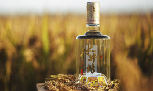 浓香型白酒都有那些品牌  3