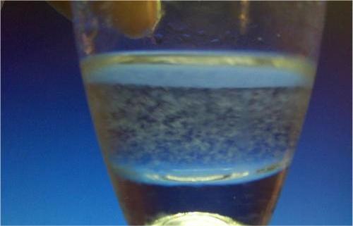 冷冻白酒会出现沉淀？低温结晶现象的科学解释