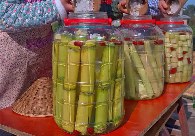 怎样用甘蔗酿白酒？甘蔗酿酒具体方法及注意事项！