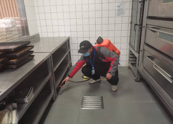 用白酒能除蟑螂吗？专业除蟑螂方法！