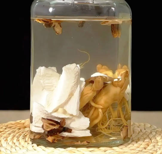 什么菇可以泡白酒